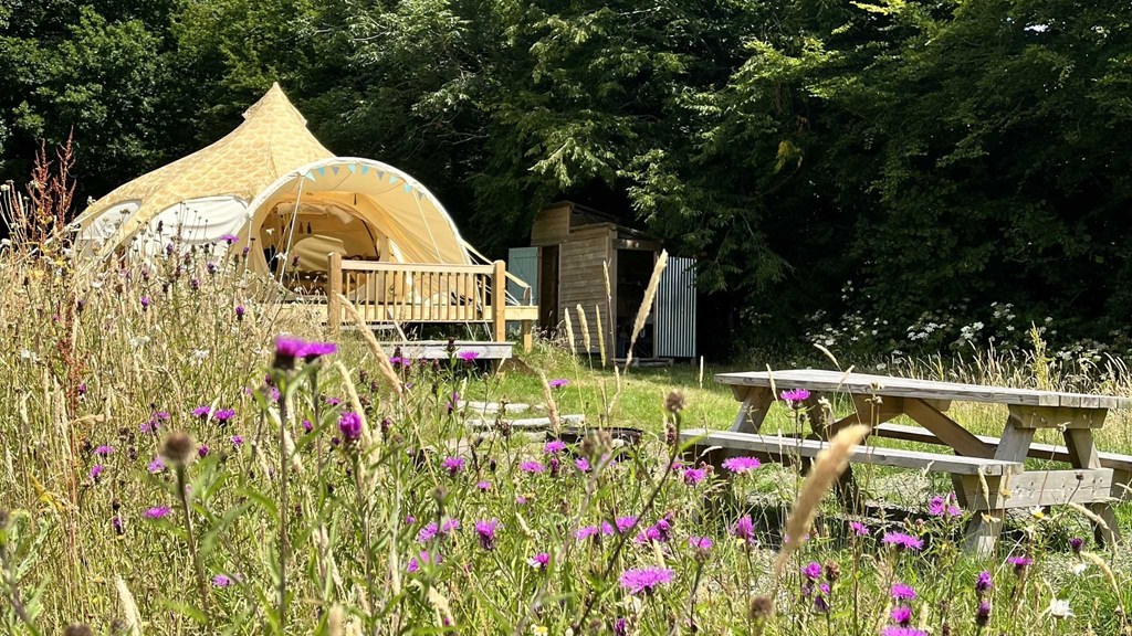 Star Field Camping And Glamping