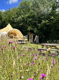 Star Field Camping And Glamping