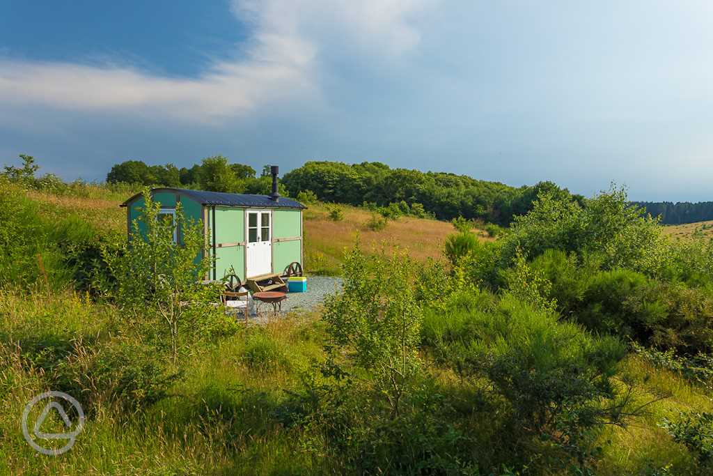 Wildwoodland Retreat