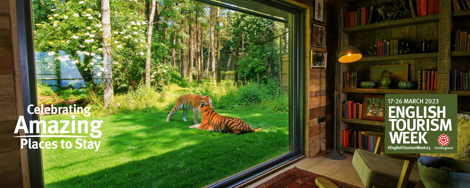 Amazing Places Final (1)