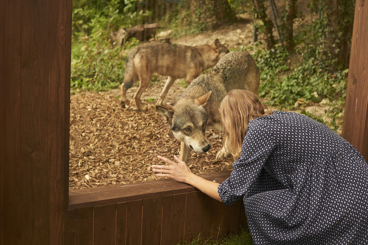 Wolf Lodge At Port Lympne Hotel & Reserve C Port Lympne Hotel & Reserve 1