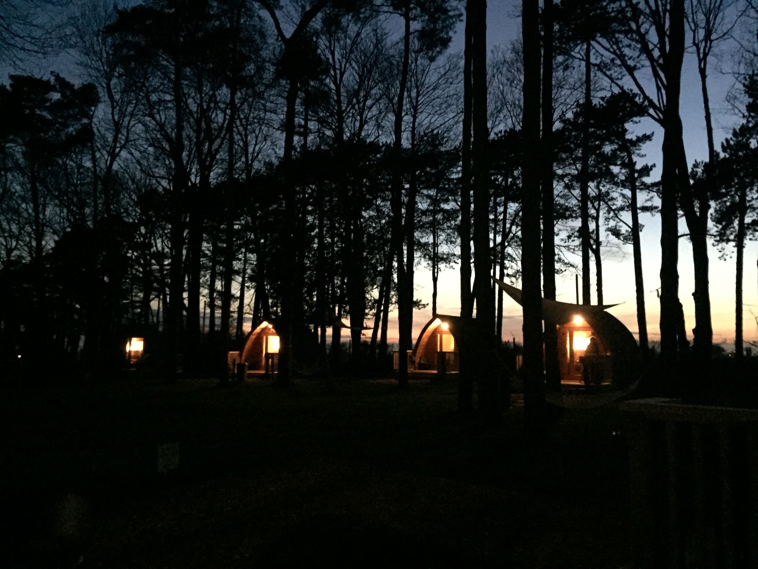 SHORT BREAKS Pinewood (12)