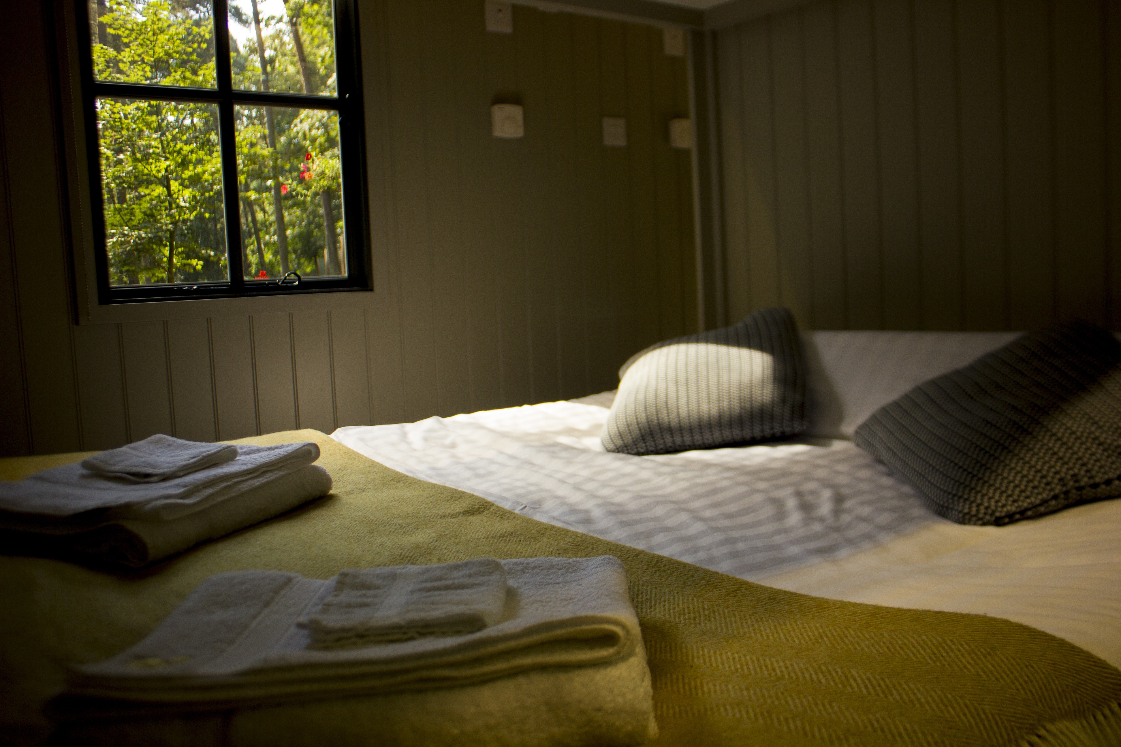 SHORT BREAKS Pinewood Shepherds Hut (1)