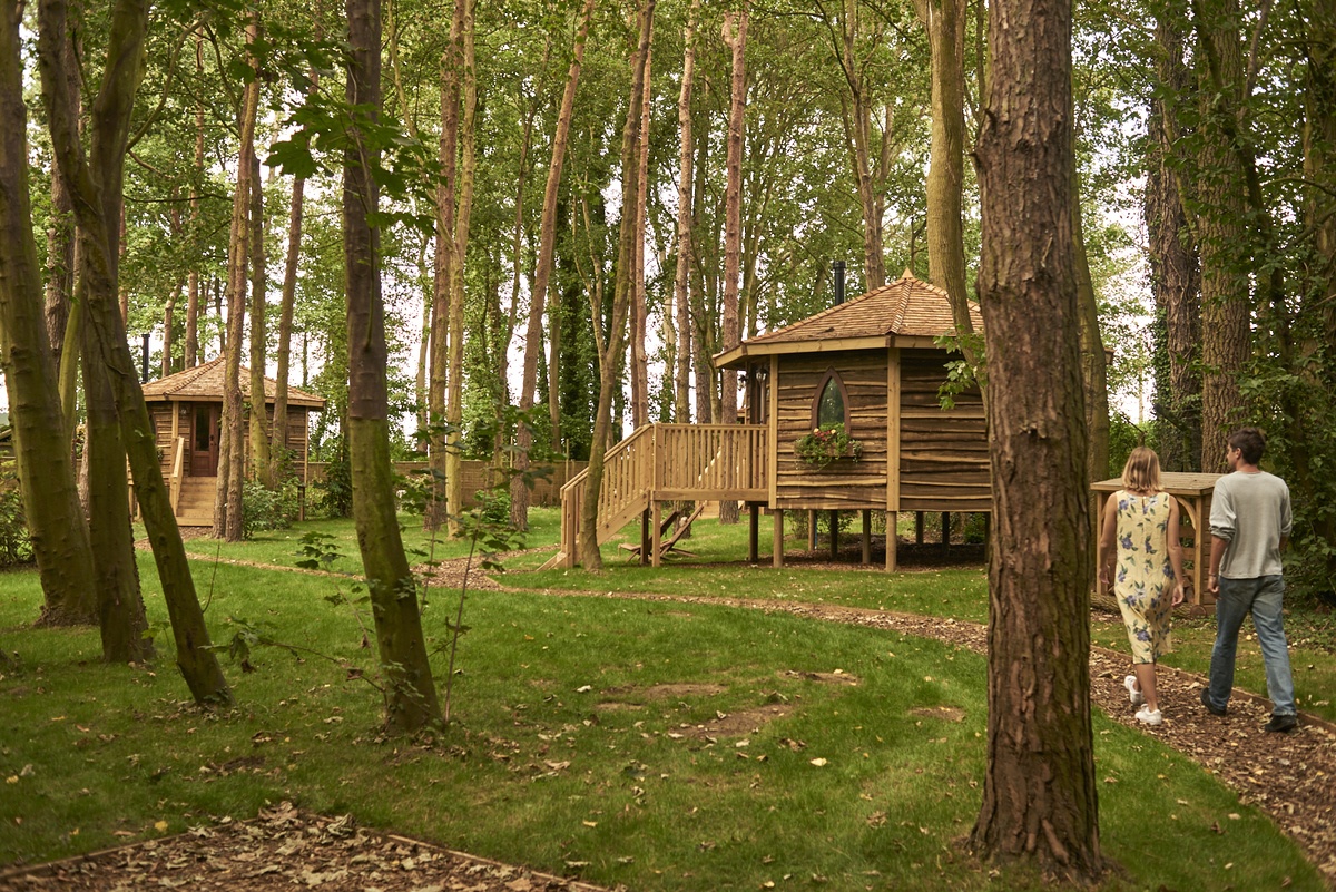 180808 PL 4 Foresthideaways 003