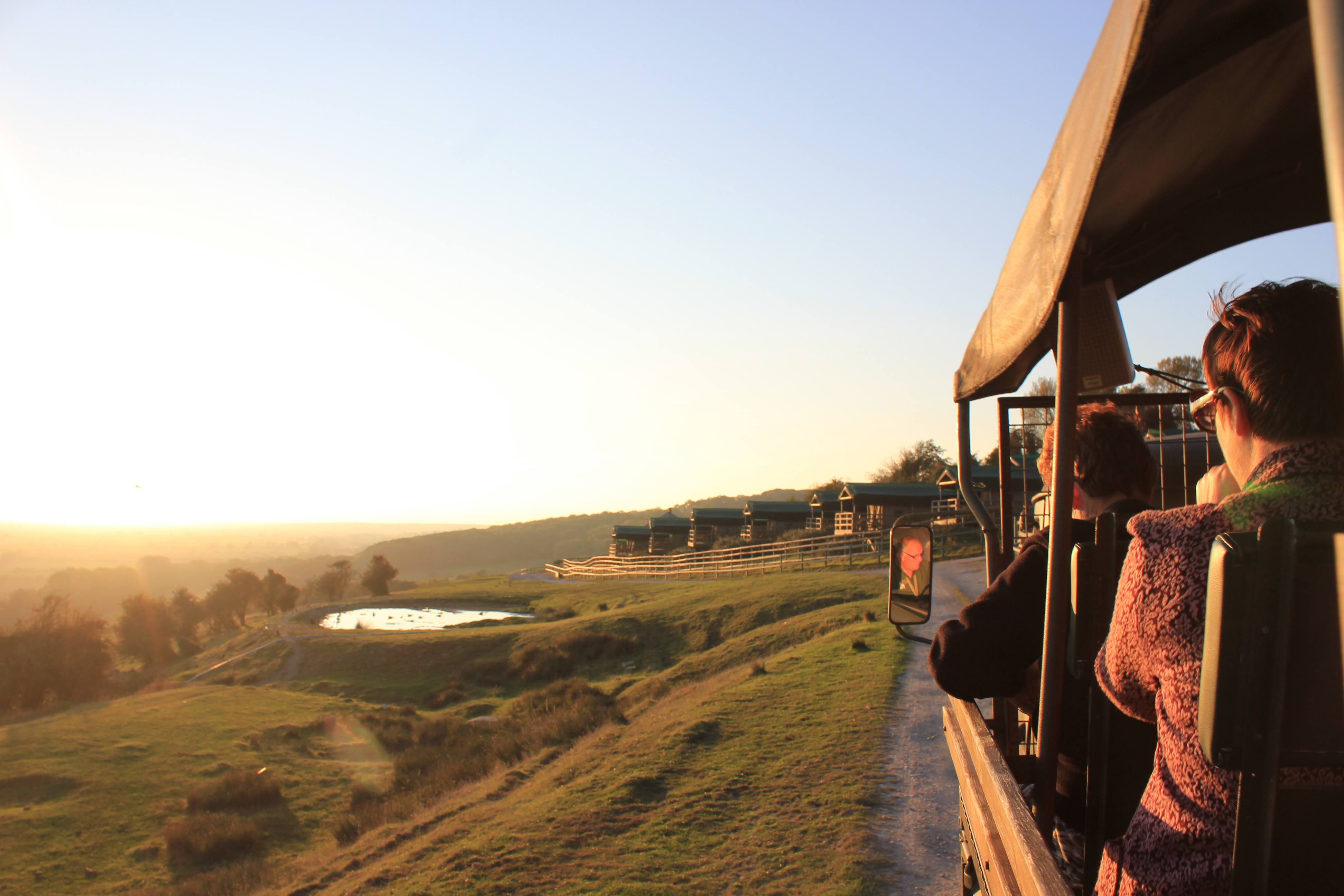 Giraffe Lodge Overnight Safari Experience At Dusk
