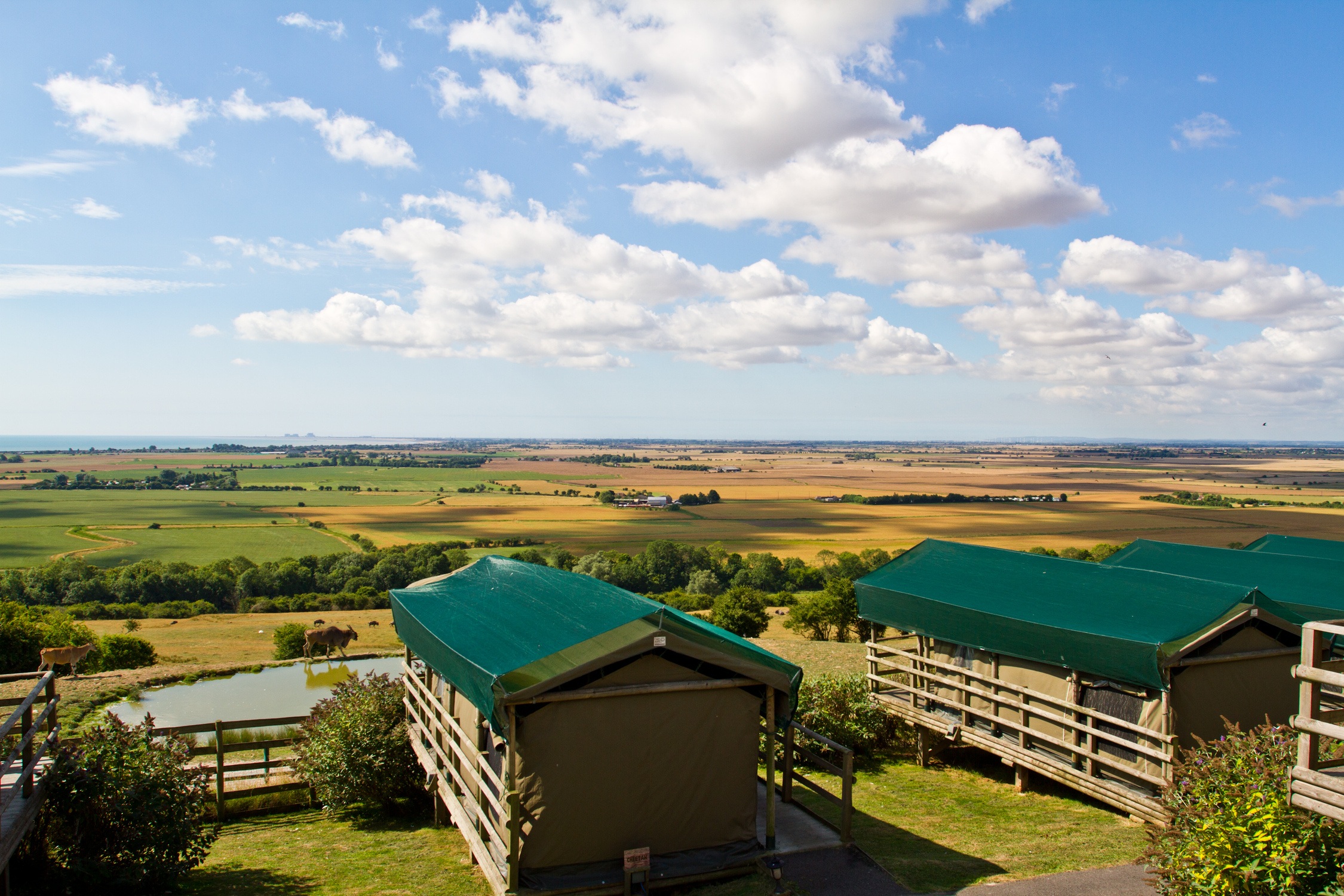 Views Over Romney Marsh From Giraffe Lodge At Port Lympne Reserve