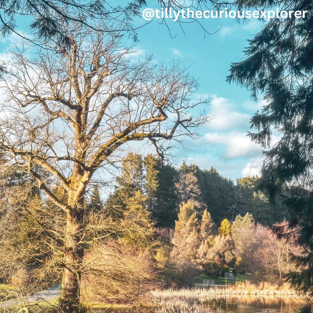 @Tillythecuriousexplorer