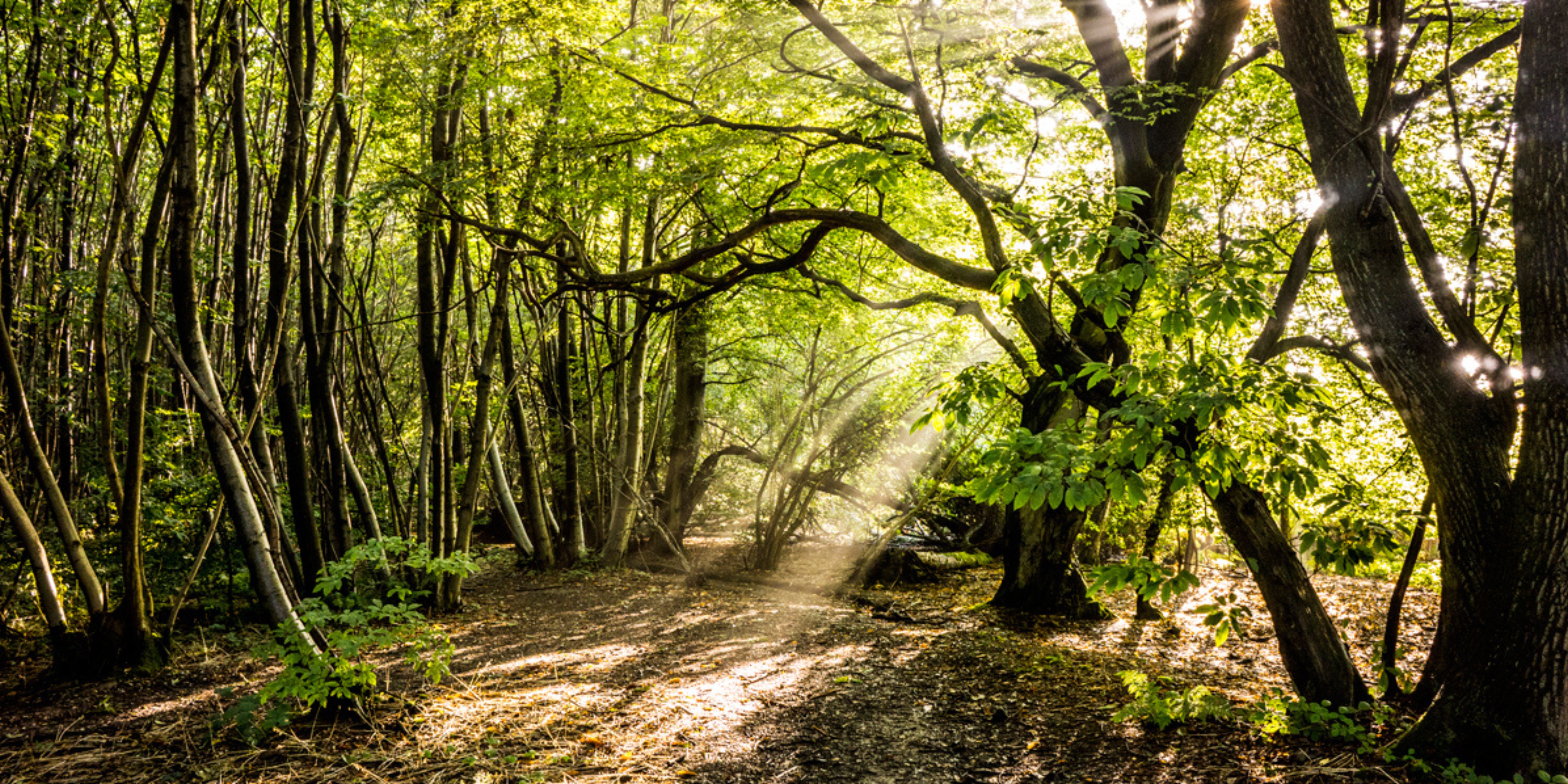 Untitled Design 2023 05 24T165558.960