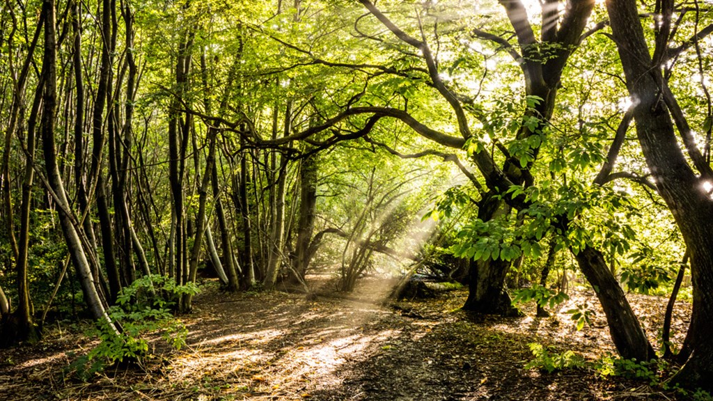 Untitled Design 2023 05 24T165558.960