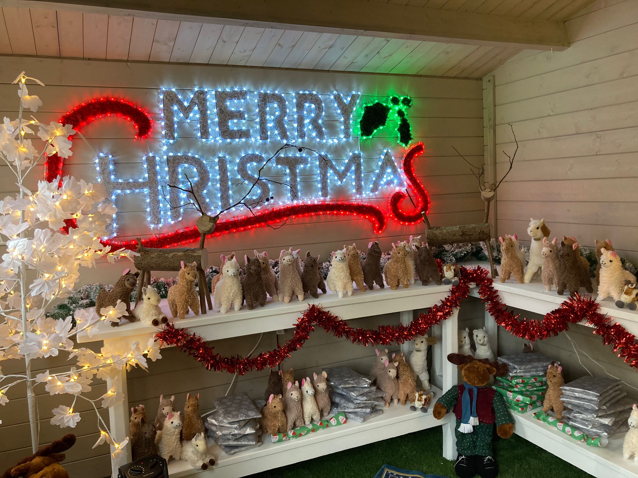 IMG 20221126 WA0001 (1)