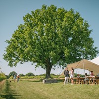 Gusbourne Wine IION (3)