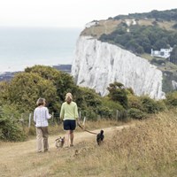 Dog Walking At On Clifftop At St Margarets