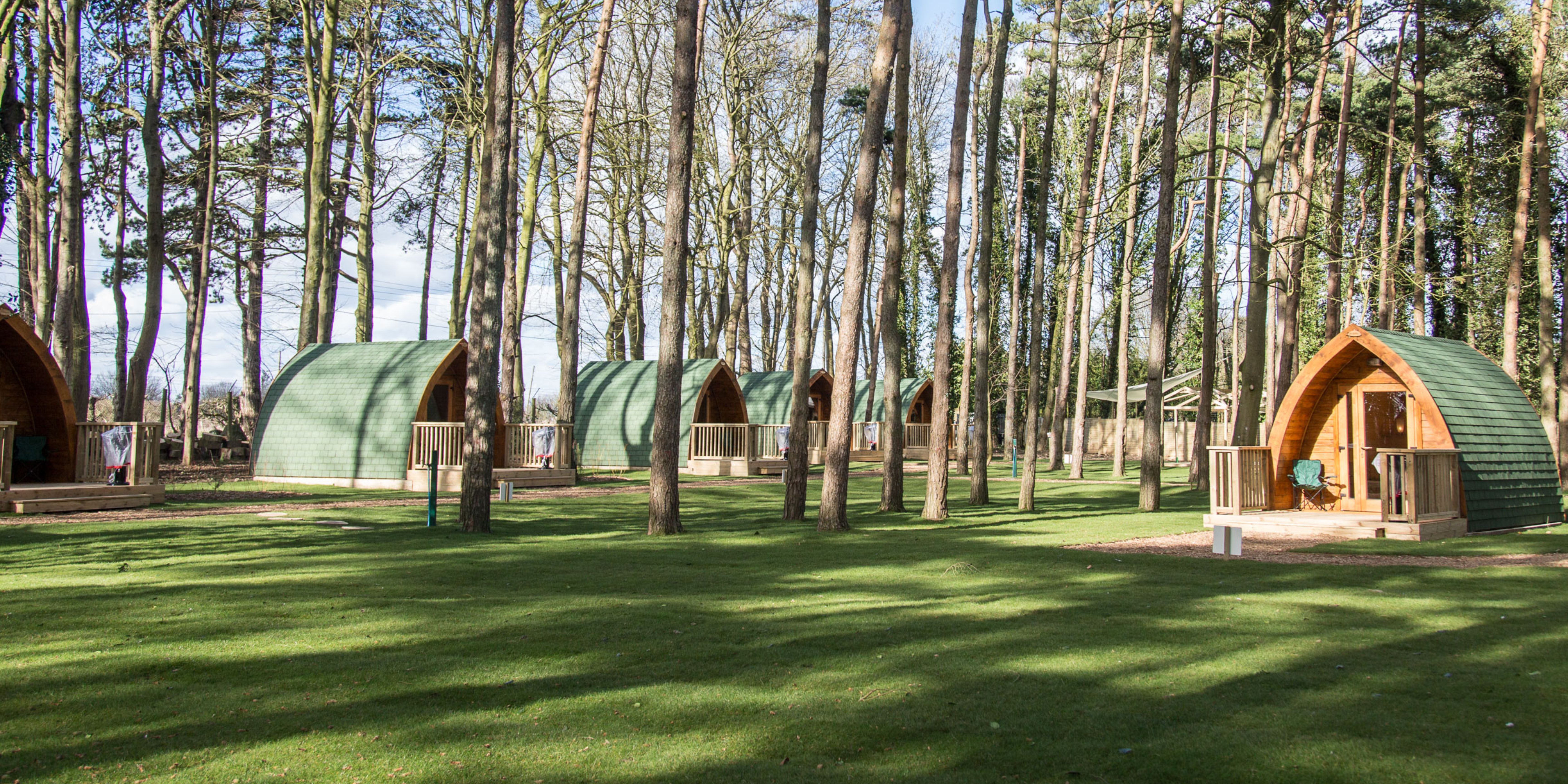 Untitled Design 2023 07 12T150557.842