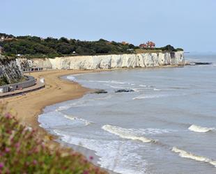 Looking across Stone Bay with the beach half covered by the sea, blurred pink flowers in the left corner of the image, row of beach huts on promenade and chalk cliffs on far side of beach