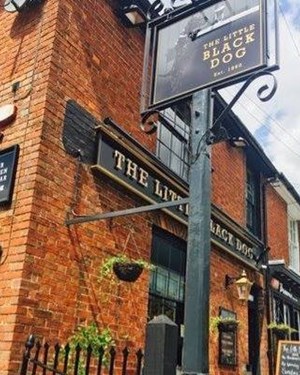 The Little Black Dog