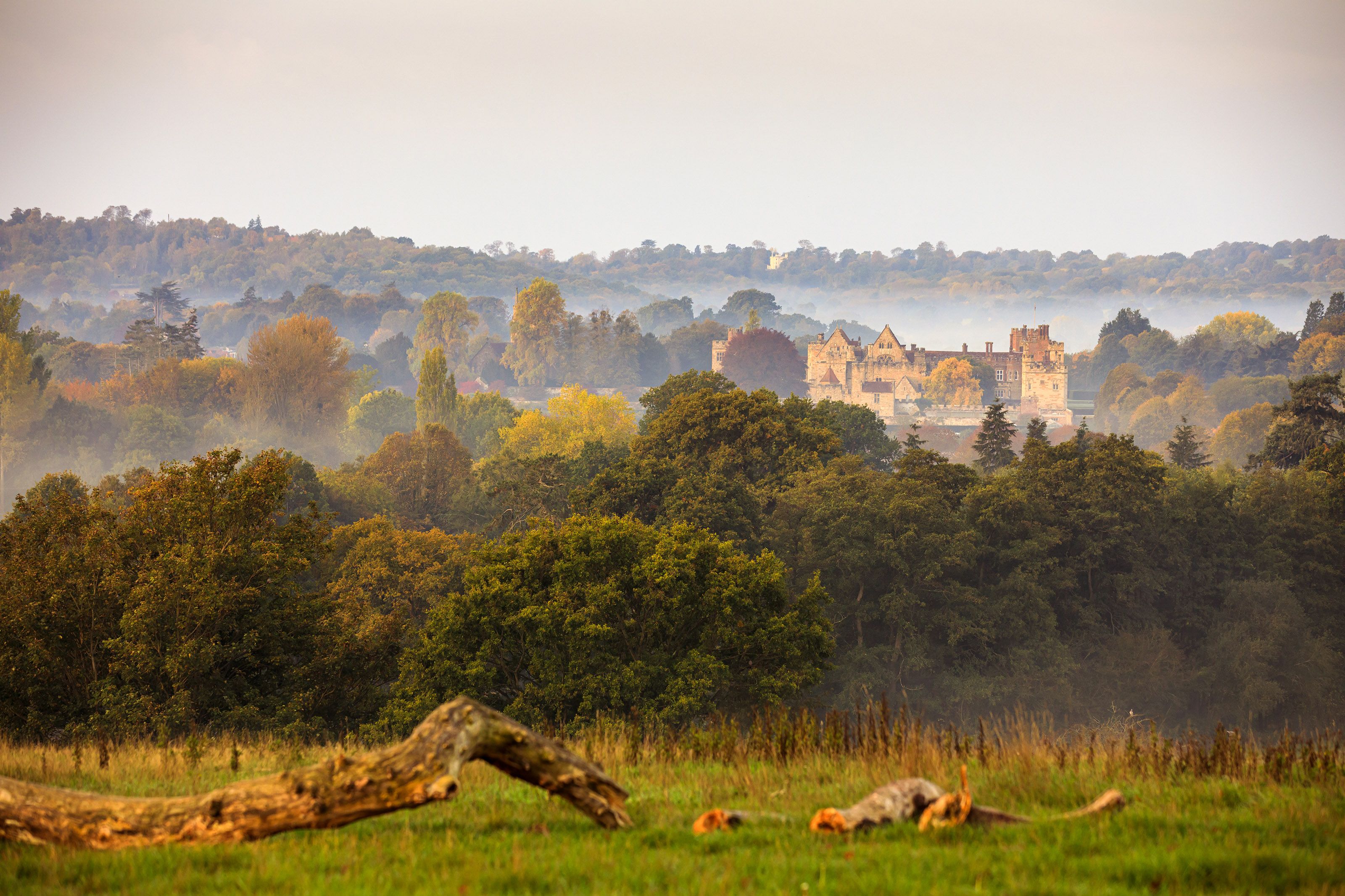 Penshurst Place In Autumn © Ollie Dixon 10