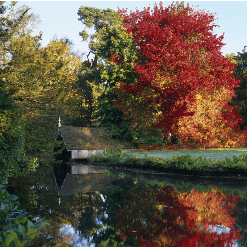 The Moat And The Gabled Wooden Boathouse At Scotney Castle, Lamberhurst, Kent, In Autumn ©National Trust Imagesdavid Sellman