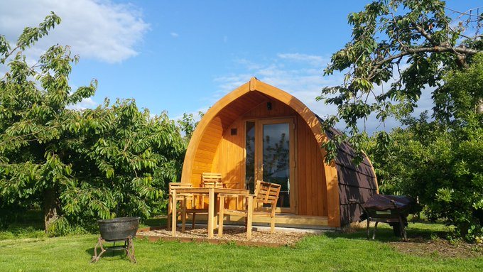 Orchard Pods Long Orchard In Sunshine