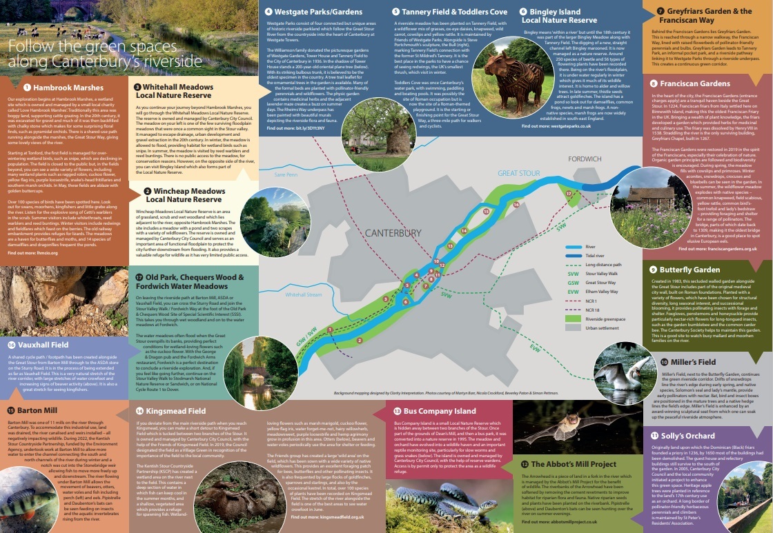 Canterburys Wild Stour Back