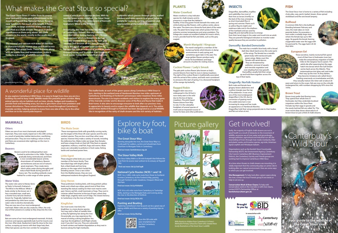 Canterburys Wild Stour Front